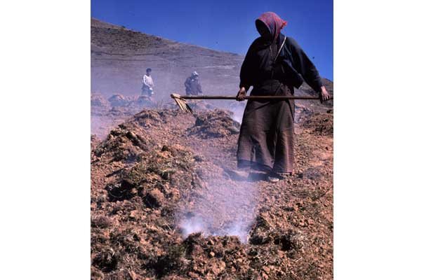 Making mounds and buring the topsoil