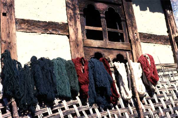 Skeins of dyed wool drying in the sun
