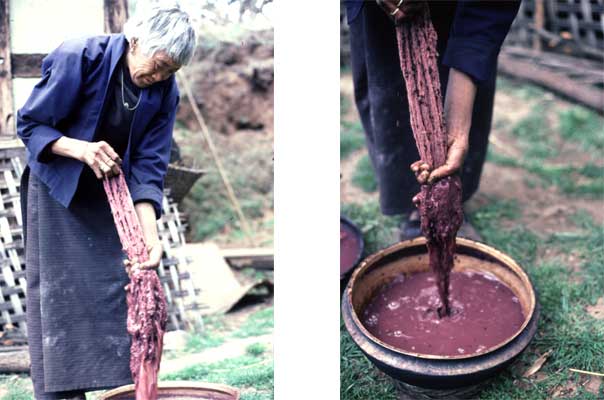 Wool being dyed red with stic lac