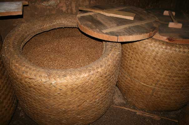 Buckwheat grains stored in Yuwa (bamboo baskets)