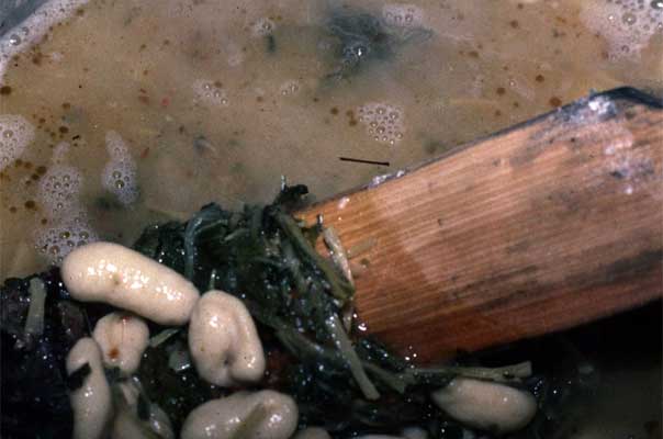 Leap, broth with wheat flour dumplings and mustard leaves